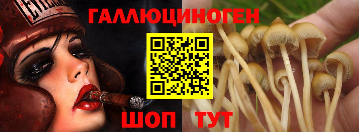 Псилоцибиновые грибы Psilocybine cubensis Рузаевка